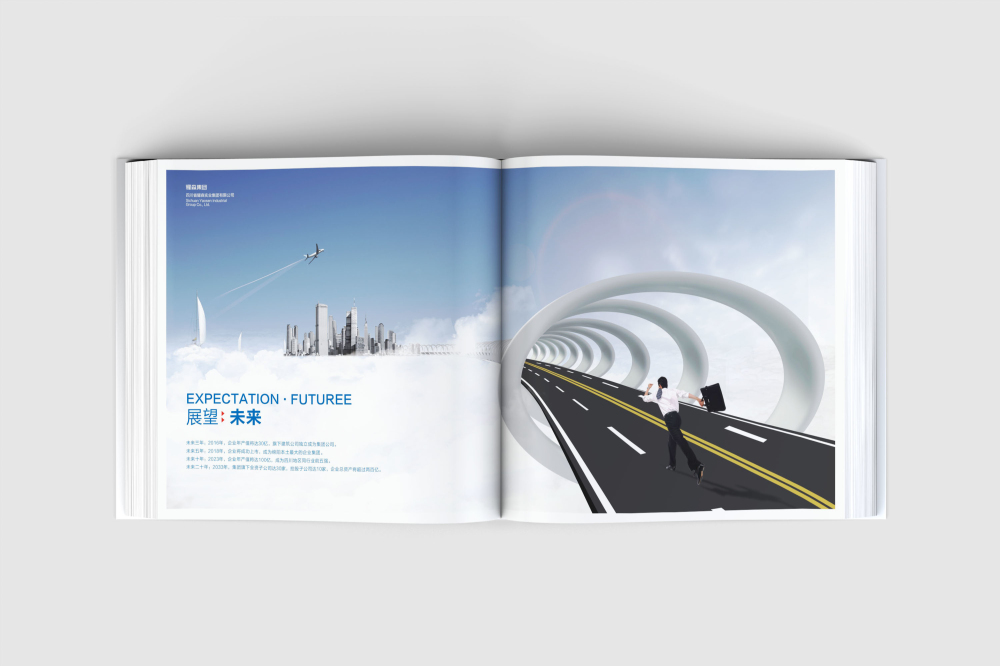 株洲县画册设计